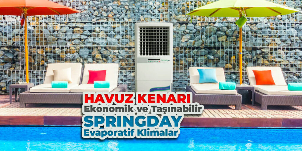 Havuz Kenarı için Ekonomik ve Taşınabilir Springday Sulu Klima Çeşitleri